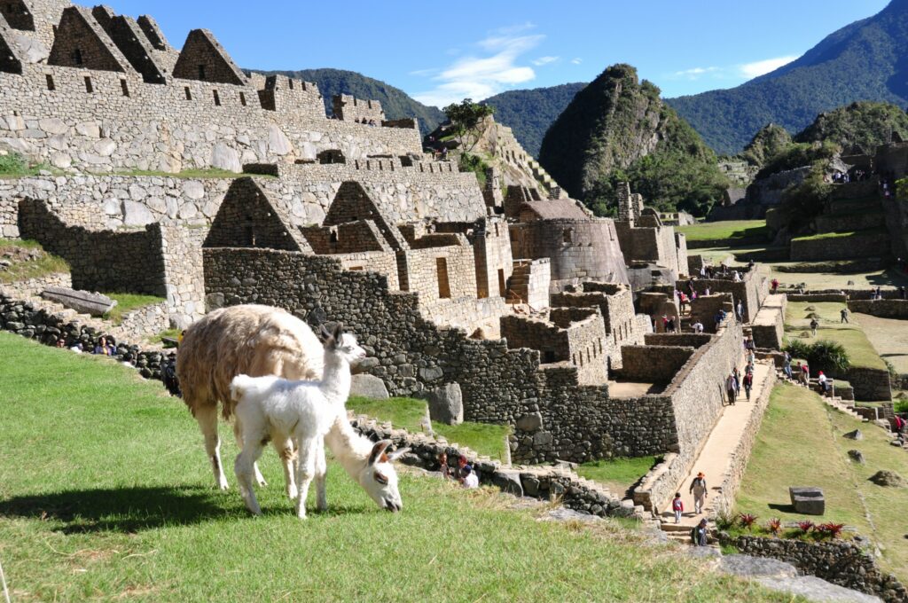 machupicchu-03